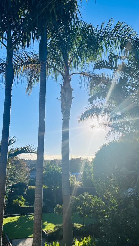 First thing, SAVE this post for later. 👍

Next step, cancel the expensive Pilates studio membership