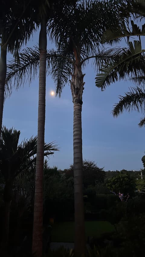 I’m your very own cheering squad. 

Follow me! 

A personal trainer and support person especially fo